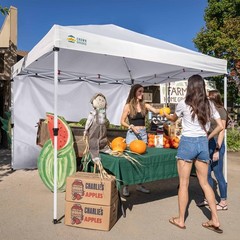 CROWN SHADES SunWall Silver Coated for 10×10 Pop up Canopy Tent, 10×10, White