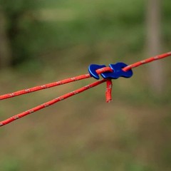 50m 4mm Reflective Nylon Guy Line for Tents Tarps Camping Outdoor Securing Use